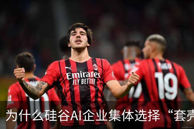 为什么硅谷AI企业集体选择“套壳”中国模型？