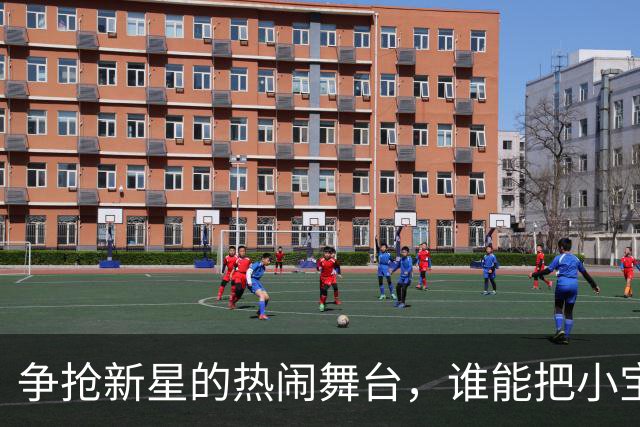 争抢新星的热闹舞台，谁能把小宝贝带回家？